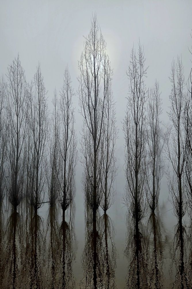 Photograph by Наталья Анисимова