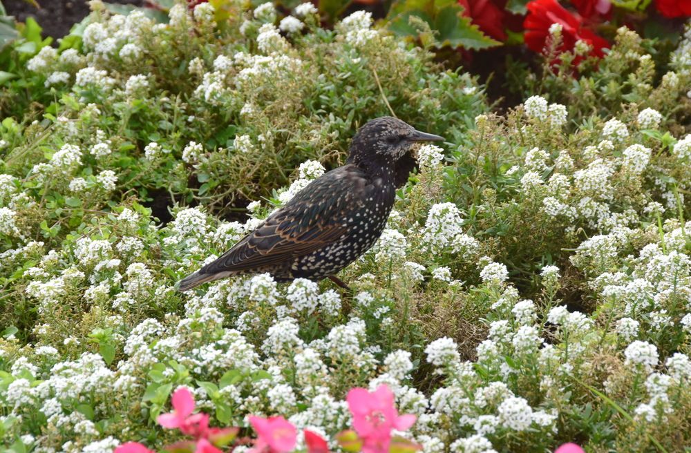 Photograph by Galina Leskova