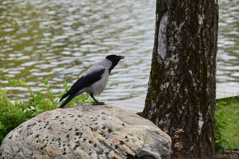 Photograph by Galina Leskova