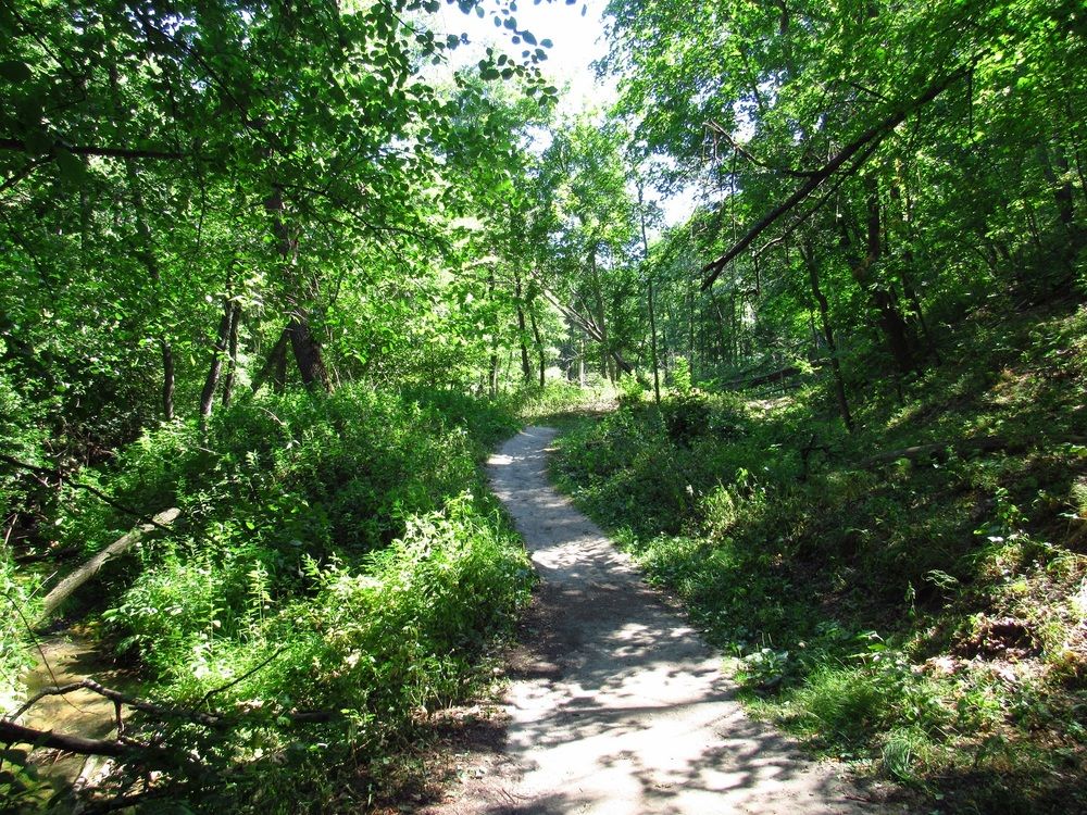 Photograph by Денис Веску