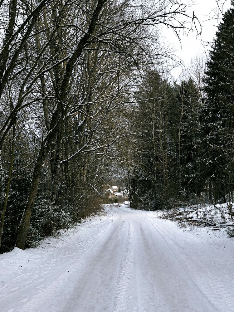 Photograph by Людмила Емельянчикова