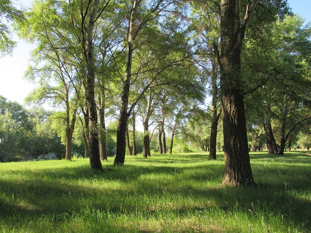 Photograph by Денис Веску