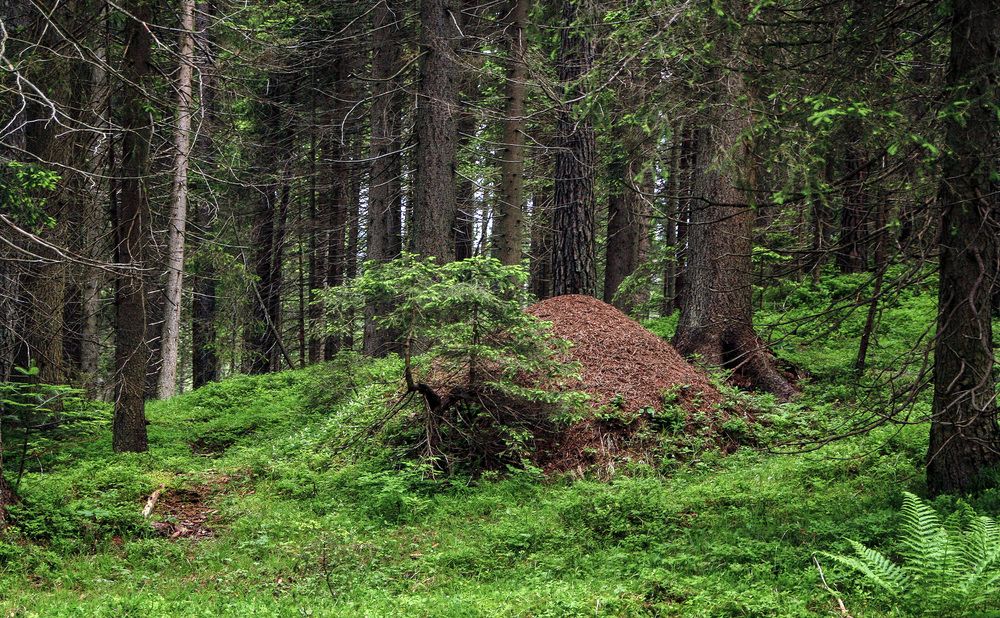 Фотография автора Александр