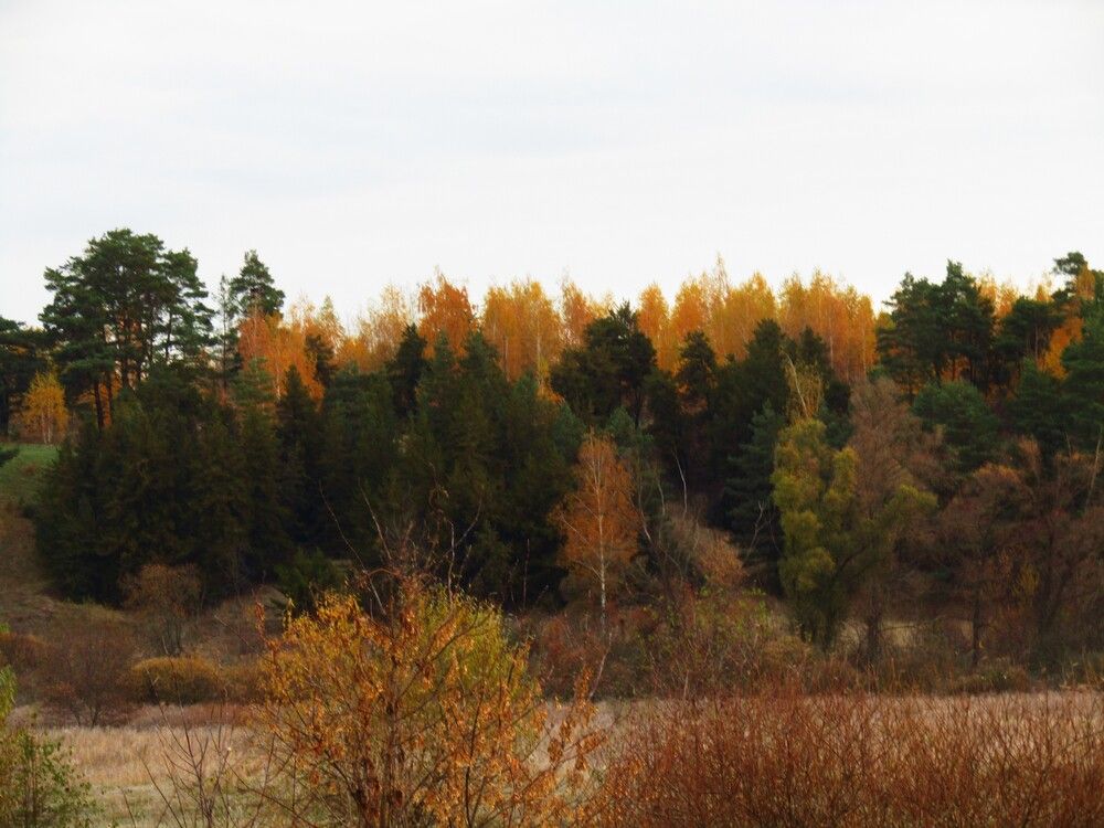 Photograph by Лариса Басова