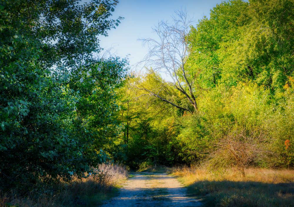 Photograph by Владимир Кваша