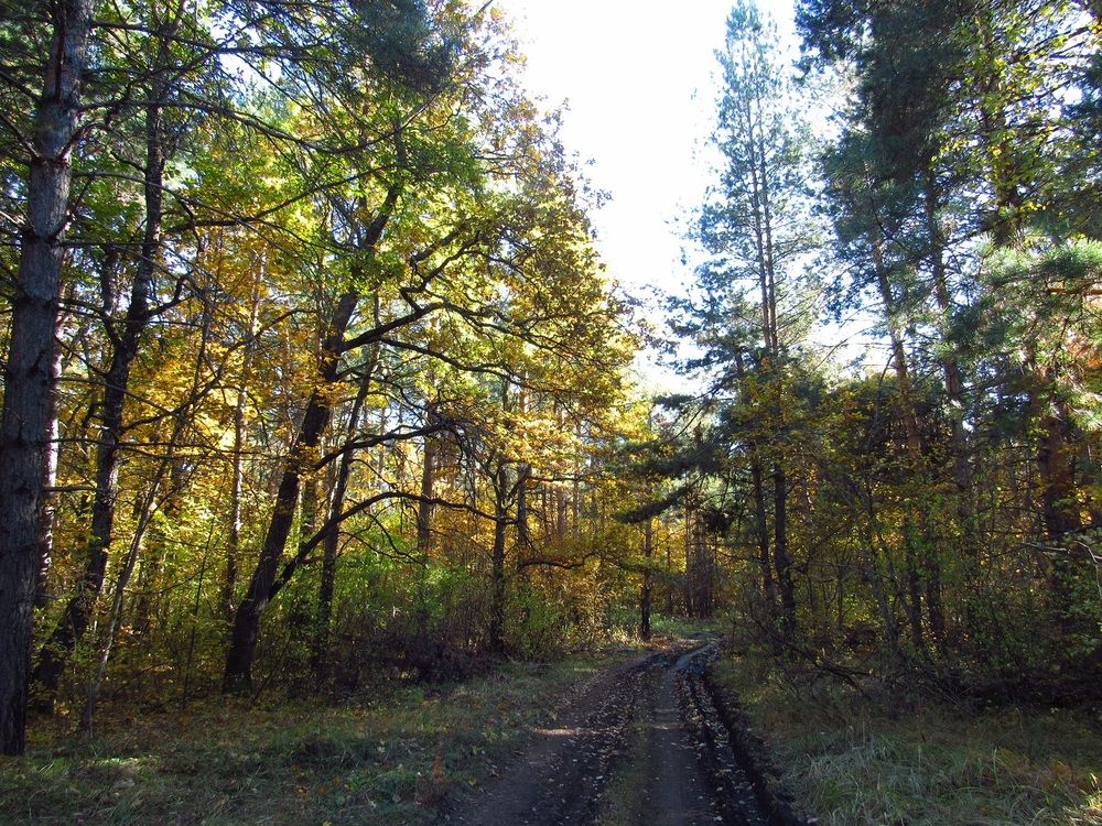 Photograph by Денис Веску