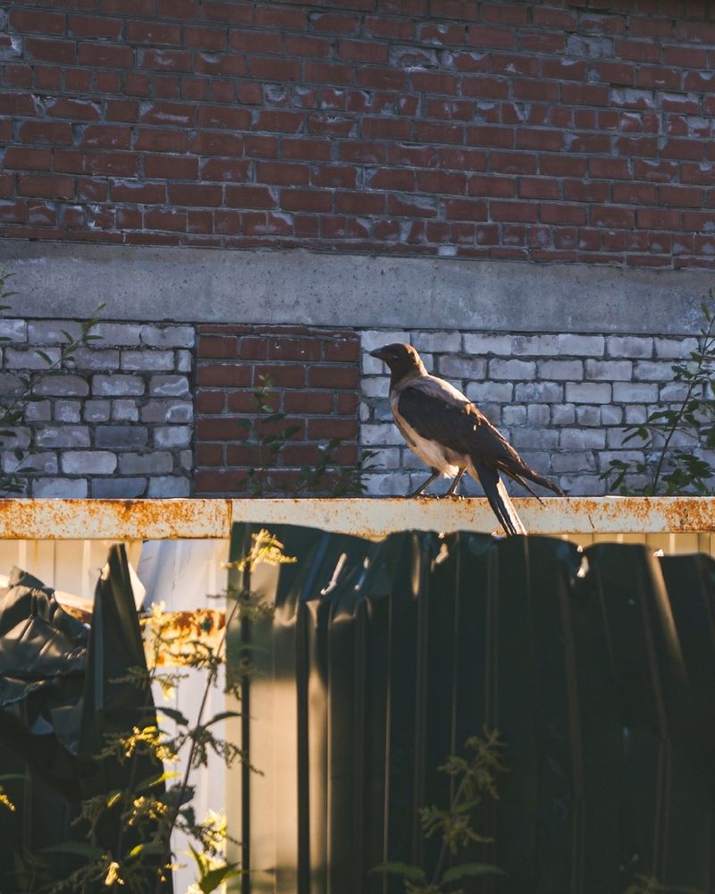 Photograph by Татьяна Иванеева