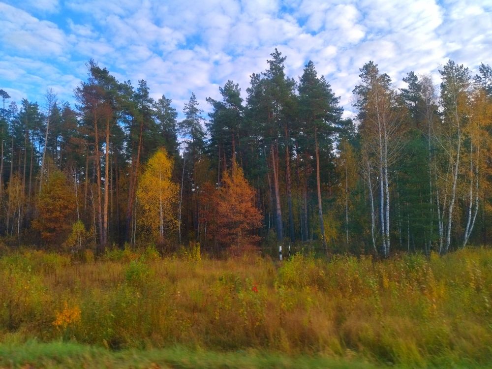 Photograph by Лариса Басова