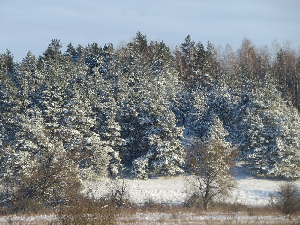 Photograph by Лариса Басова