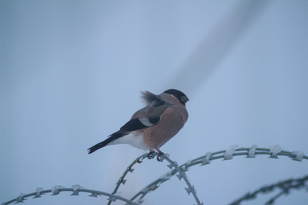 Photograph by Юлия Крюкова