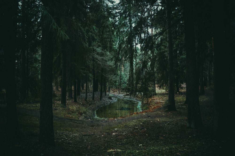 Photograph by Татьяна Иванеева