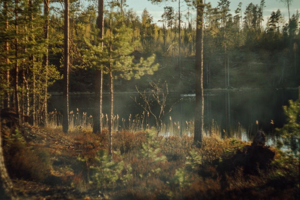 Photograph by Татьяна Иванеева