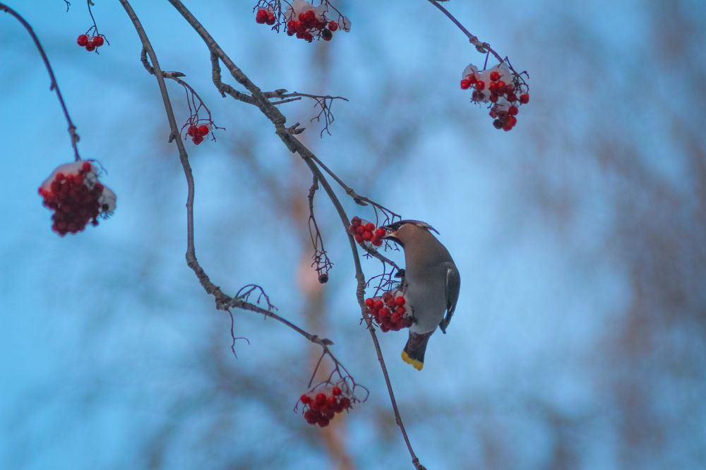Photograph by Юлия Крюкова