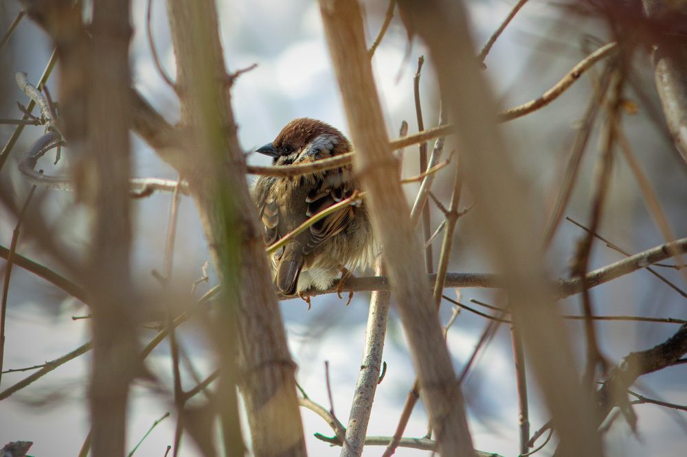 Фотография автора Дмитрий Овчинников
