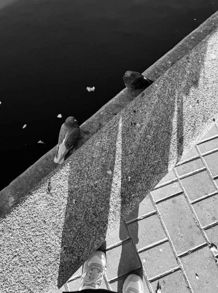 Photograph by Ольга Россихина