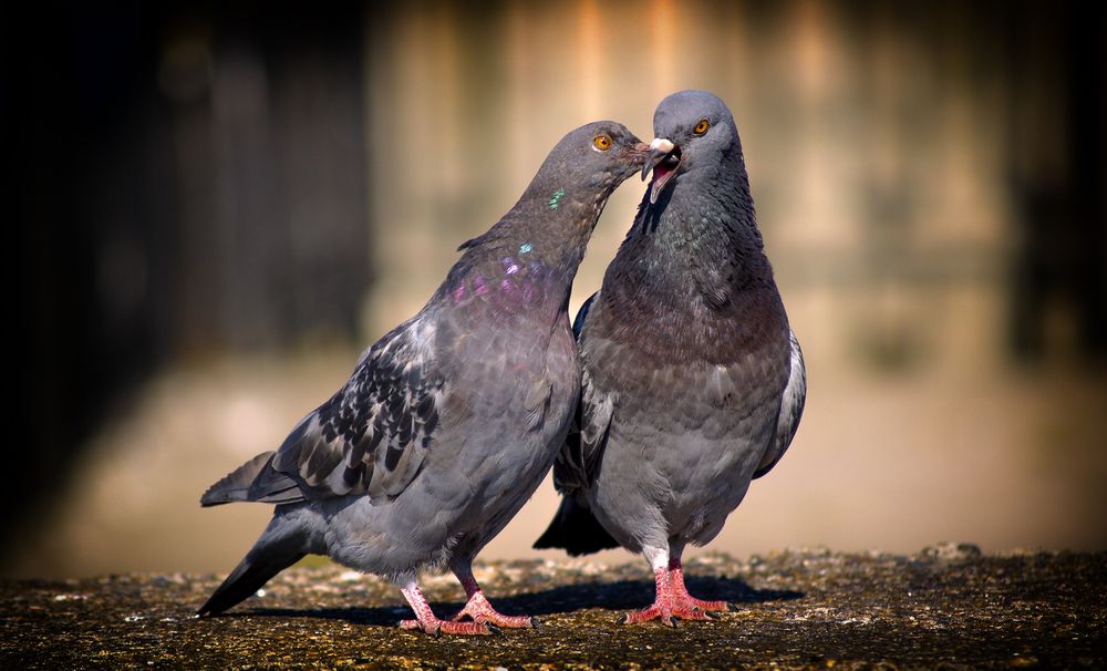 Photograph by Сергей Абашкин