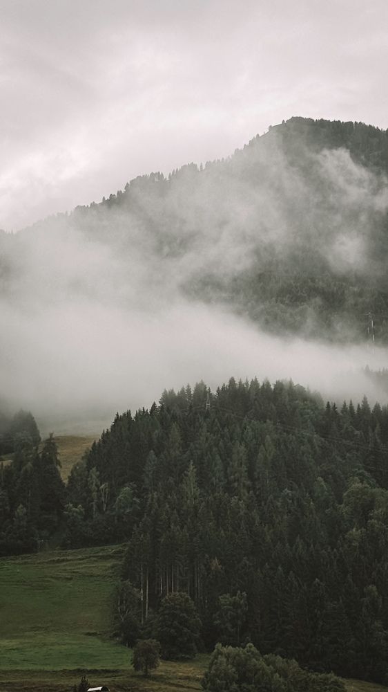 Photograph by Наталья Алфёрова