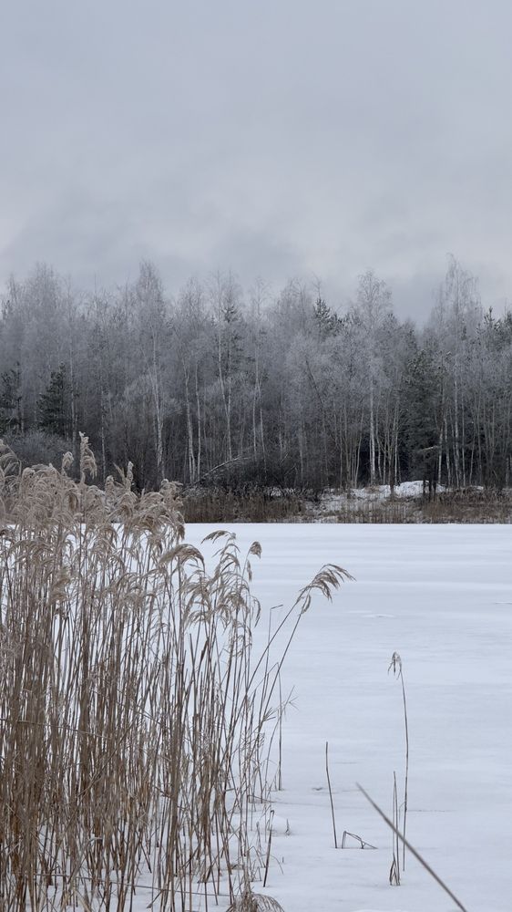 Photograph by Елена Гущина