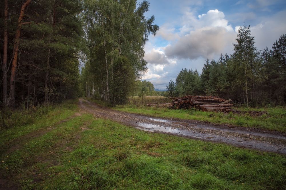 Photograph by Виталий Полуэктов