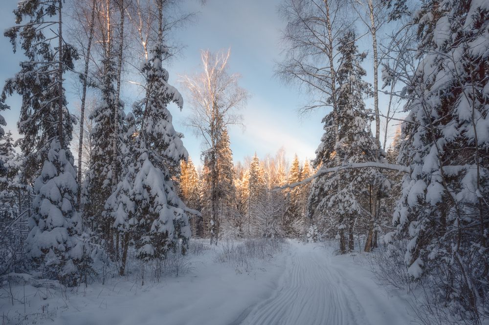Photograph by Виталий Полуэктов