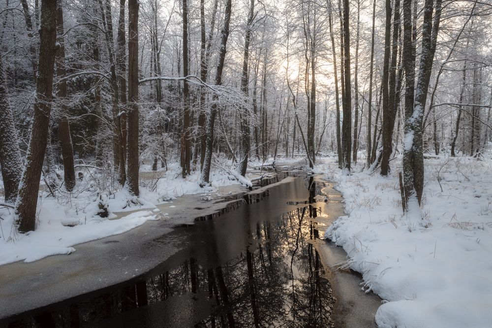 Photograph by Виталий Полуэктов