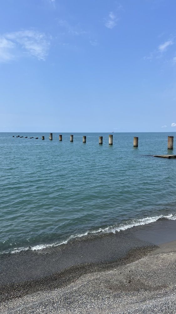 Фотография автора Юлия Недосекина