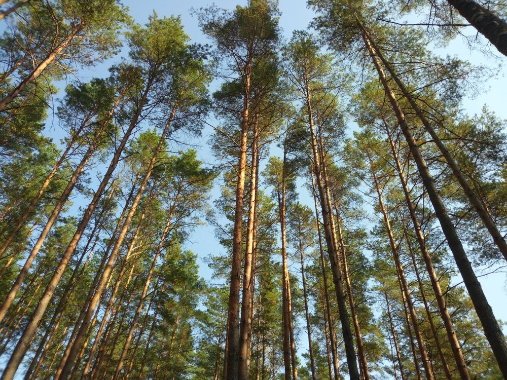 Photograph by Юлия