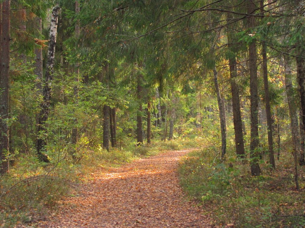 Photograph by Юлия