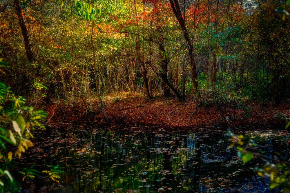 Photograph by Владимир Кваша