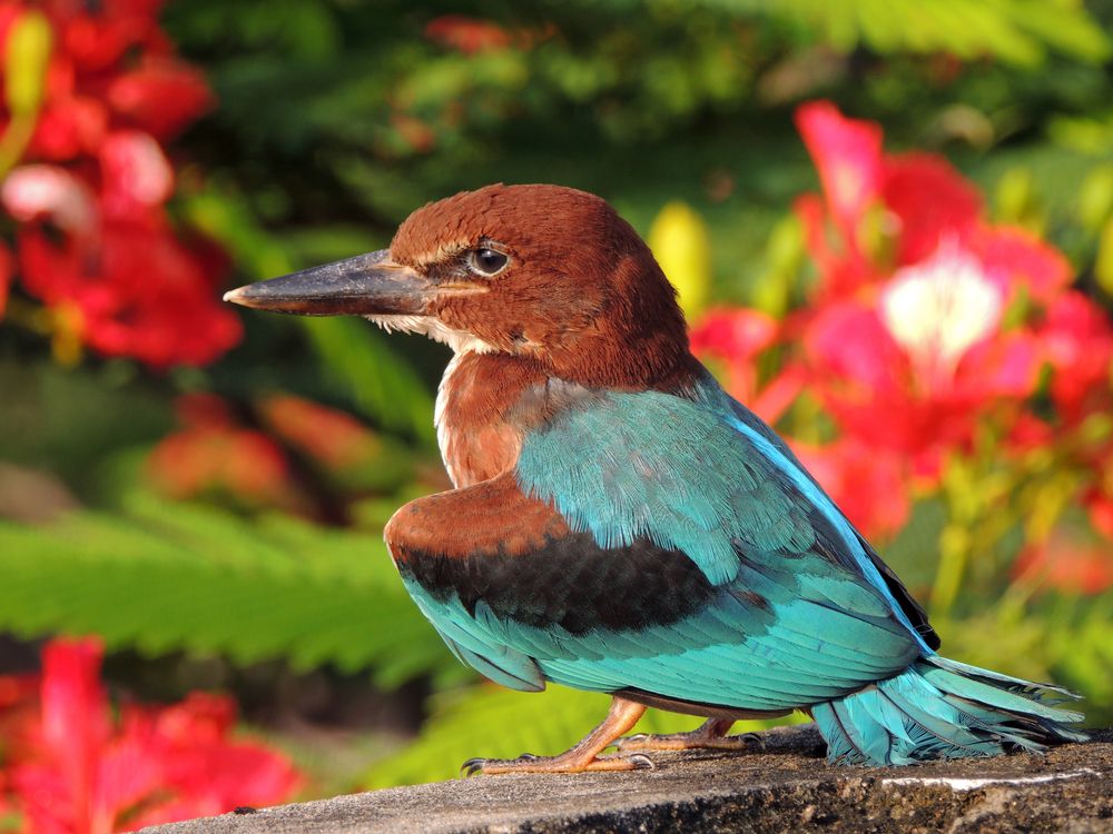 Photograph by Suphal Dasgupta