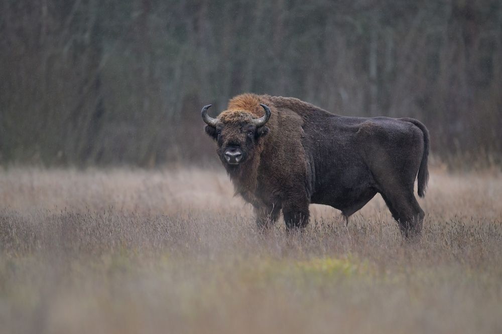 Photograph by Lubomir Novak