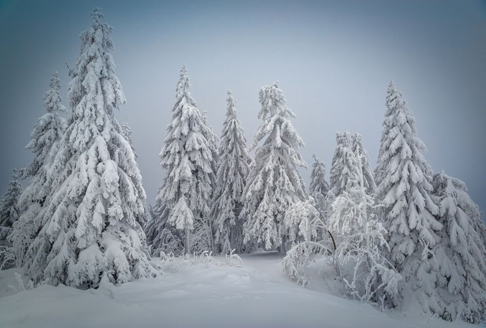 Photograph by Ожерельев Андрей