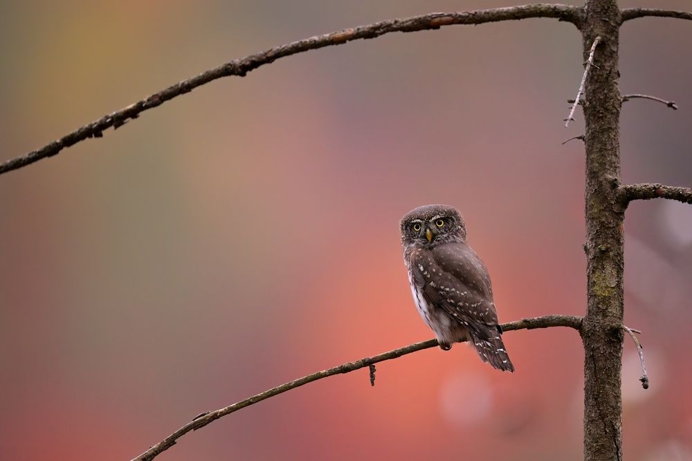 Photograph by Lubomir Novak