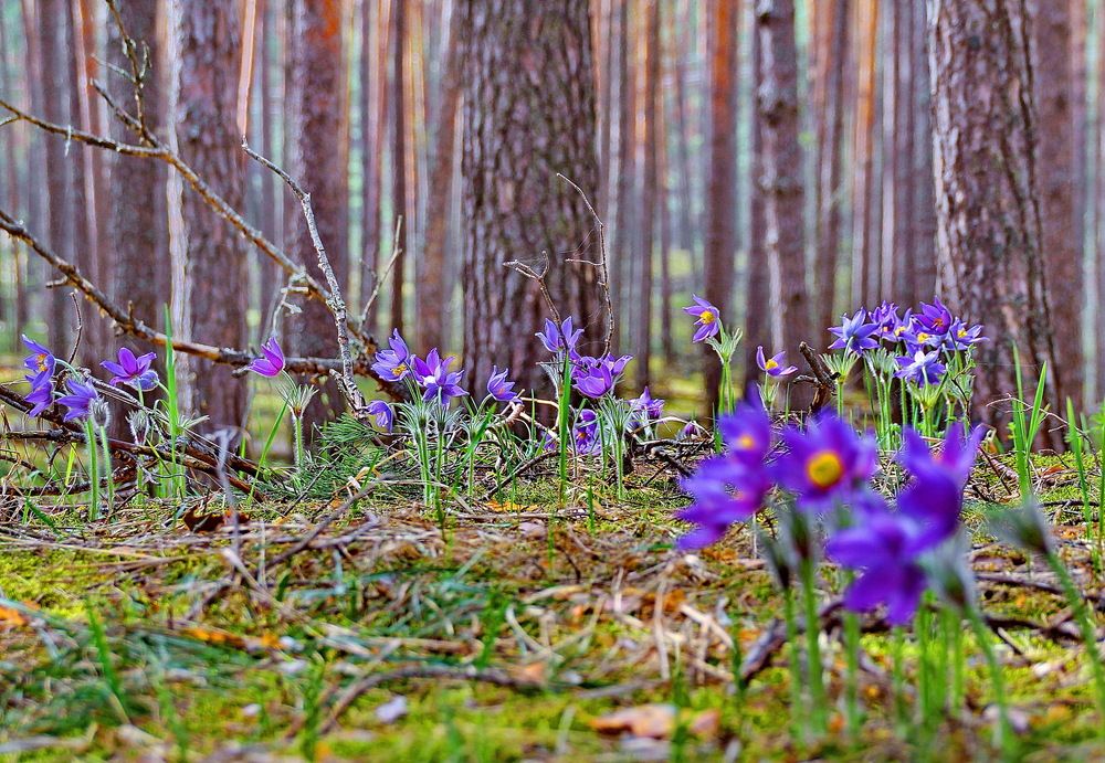 Photograph by Виталий Симоненков