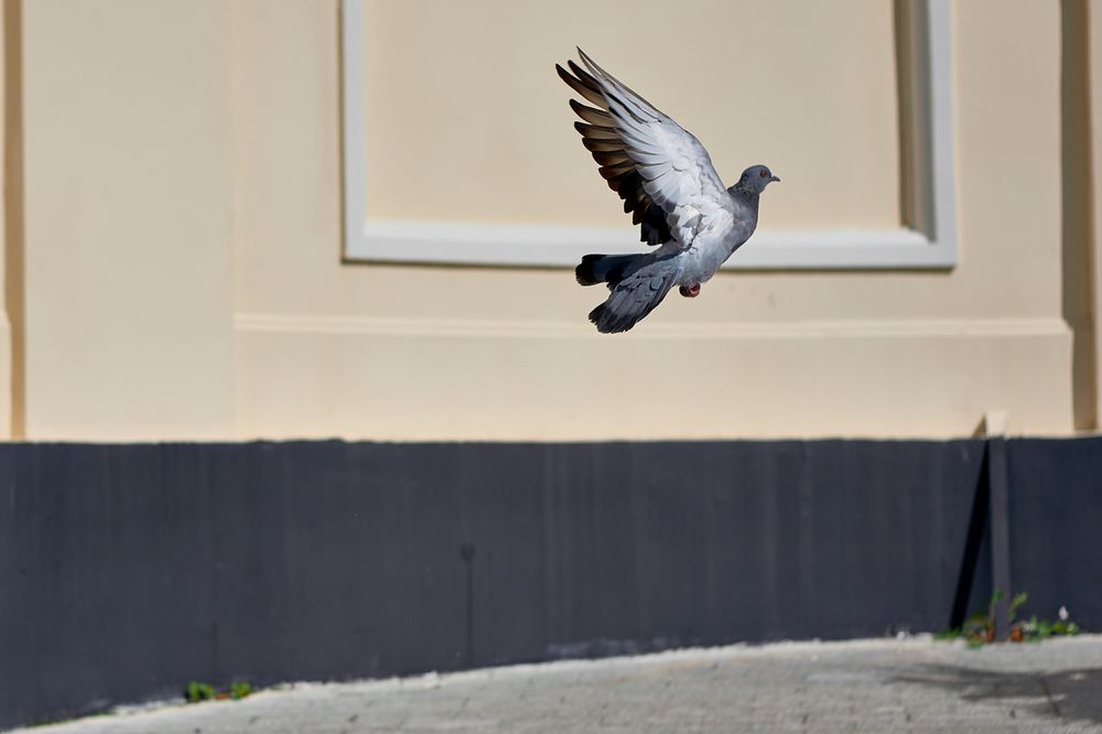 Photograph by Александр Белов