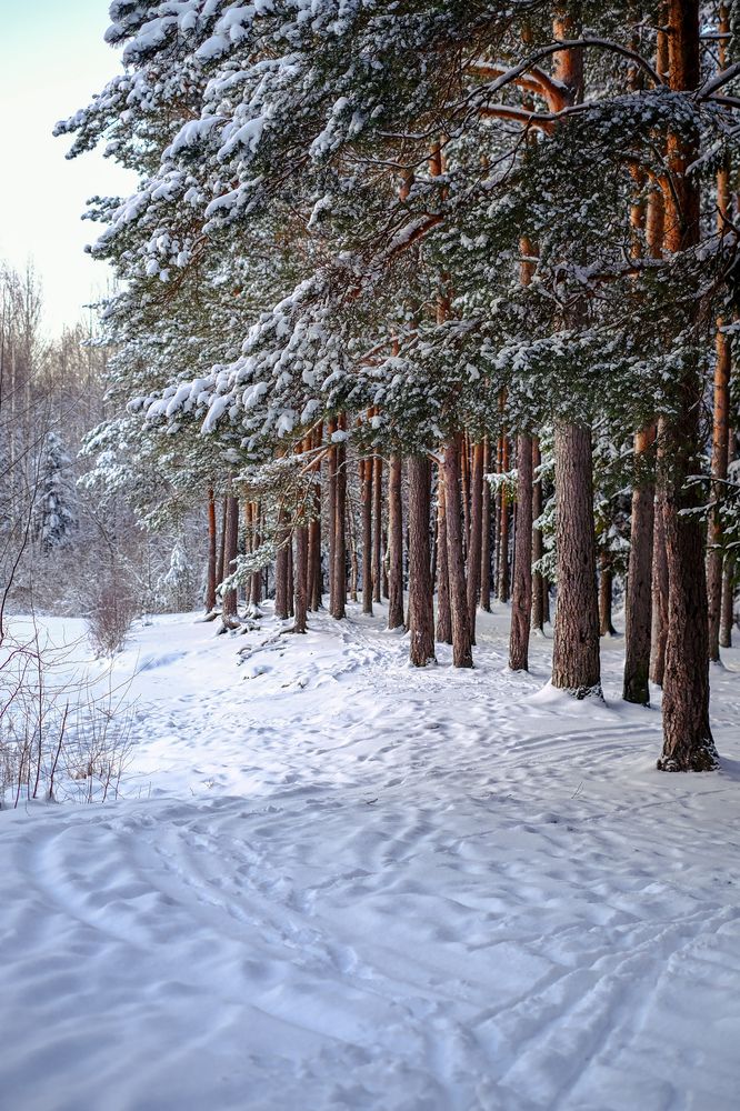 Photograph by Татьяна Глебова