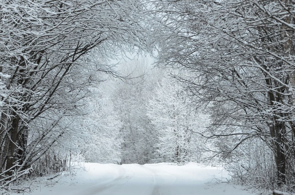 Ворота в сказку.