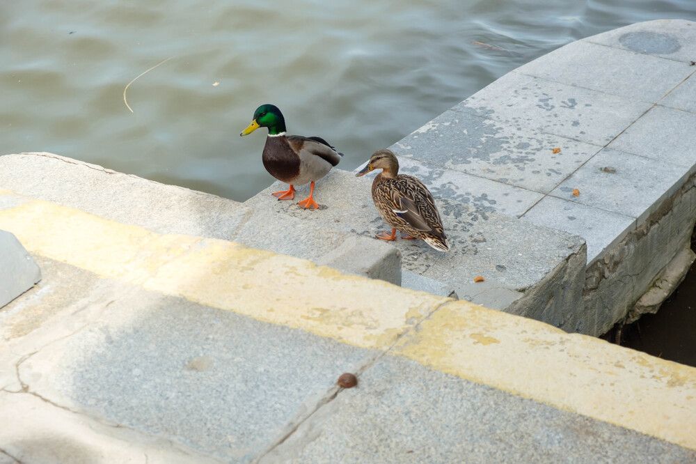 Photograph by Олег Дорошенко