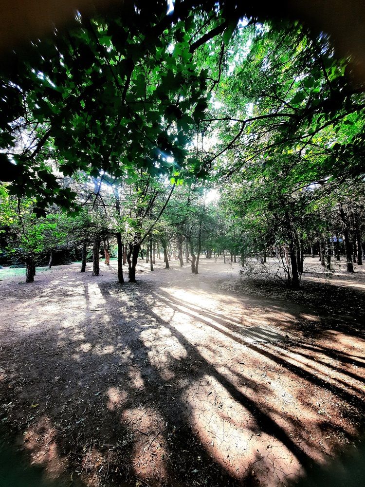 Photograph by Наталья Владимировна