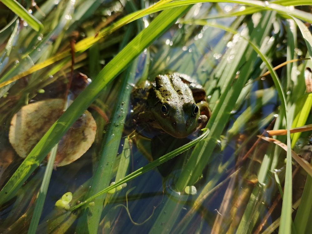 Целоваться будем или как?!