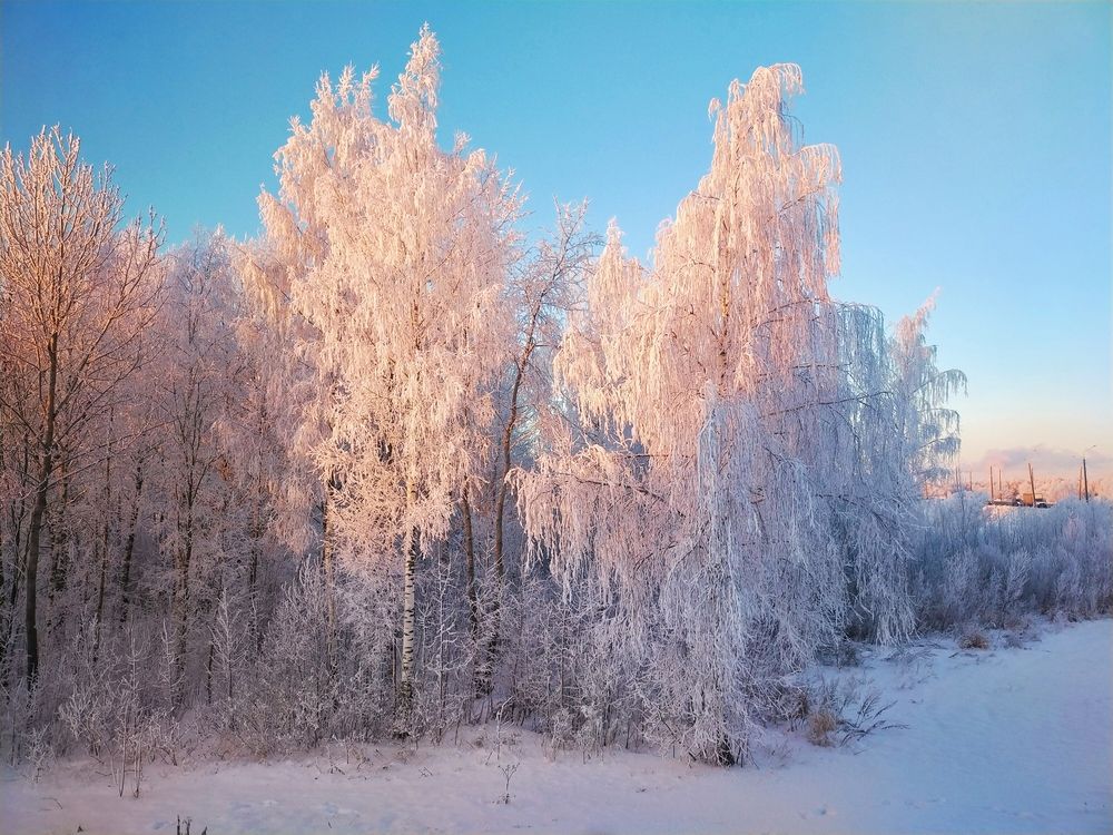 А у нас из окна...