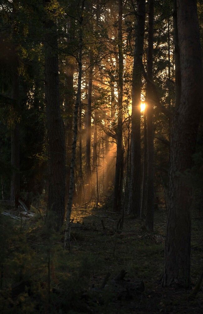 Photograph by Наталья Сергеева