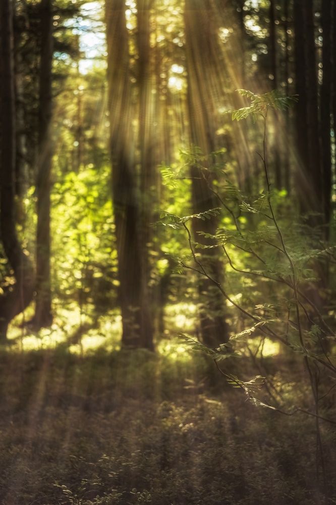 Photograph by Надежда Никитина