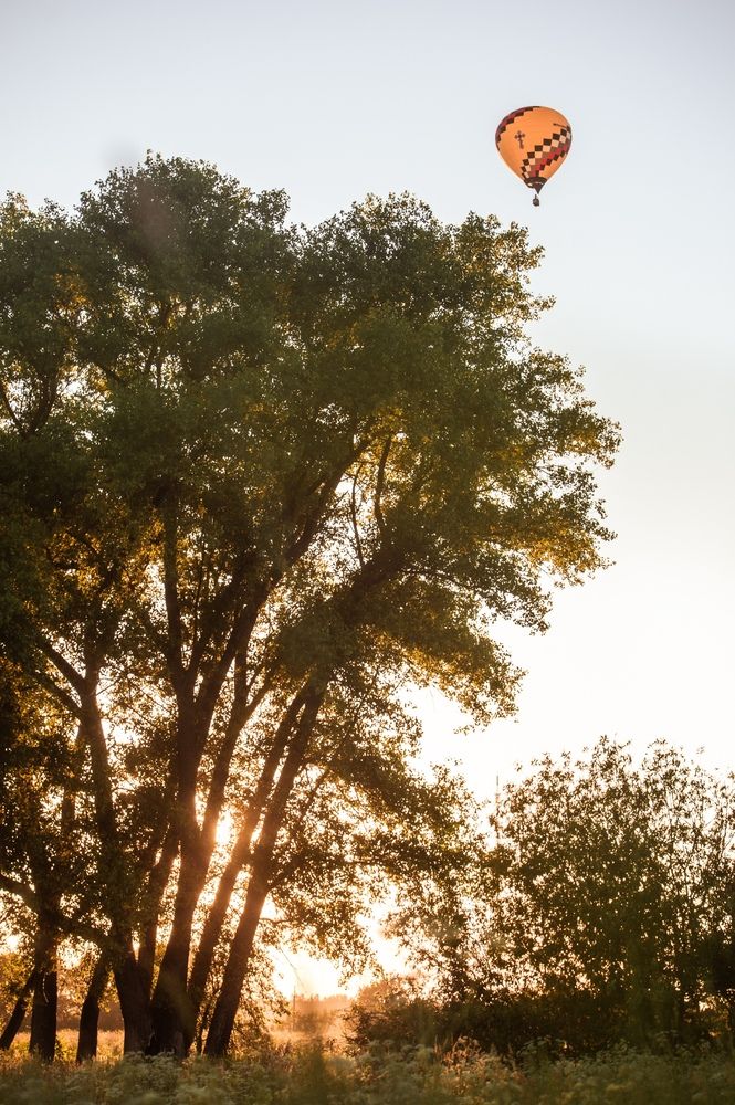 Photograph by Евгений Николаенков