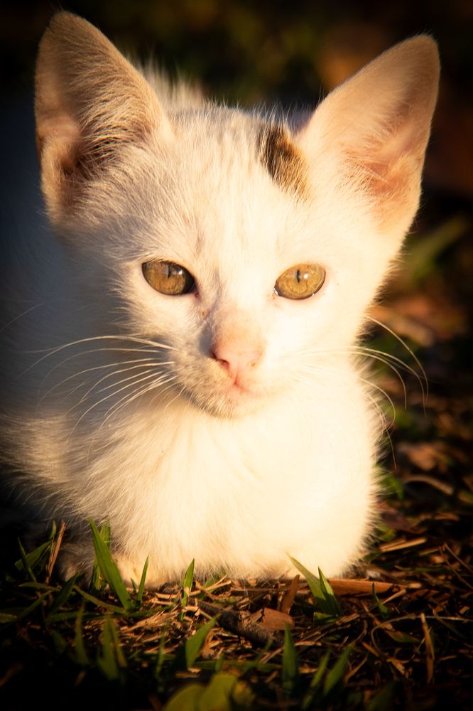 Photograph by FABIANO Manhães