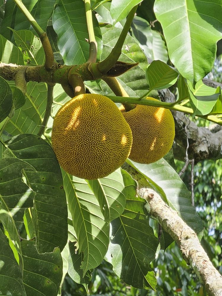 Photograph by Вадим Богатиков