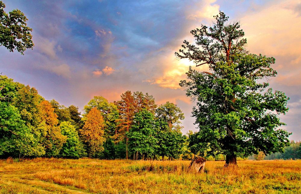 Photograph by Виталий Симоненков