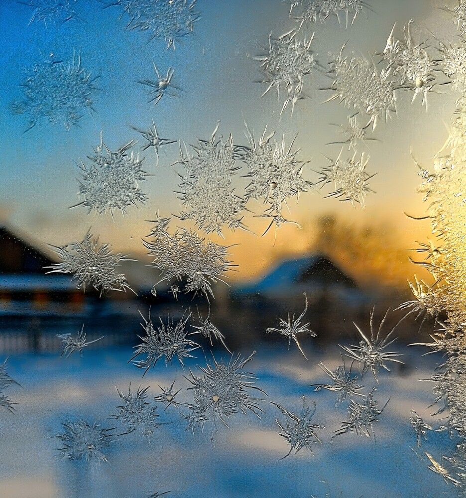 Ледяные цветы