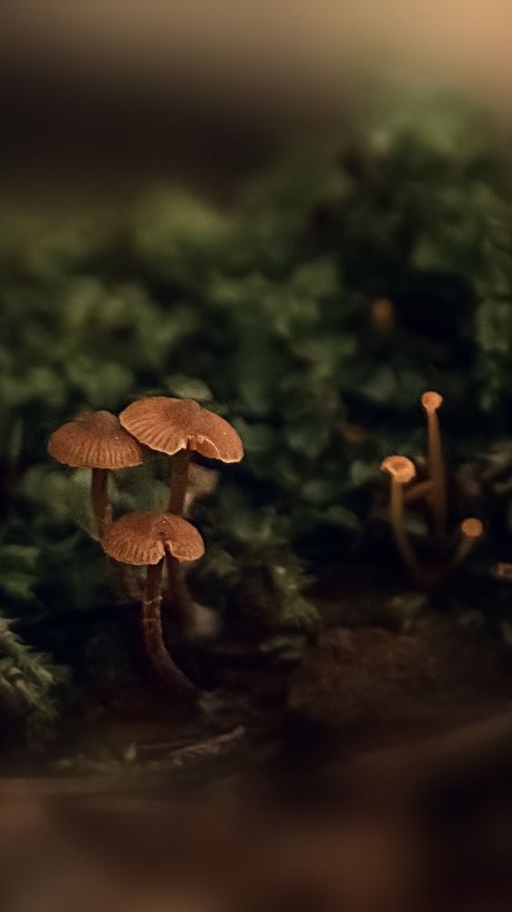 Photograph by Валерия Дорогова