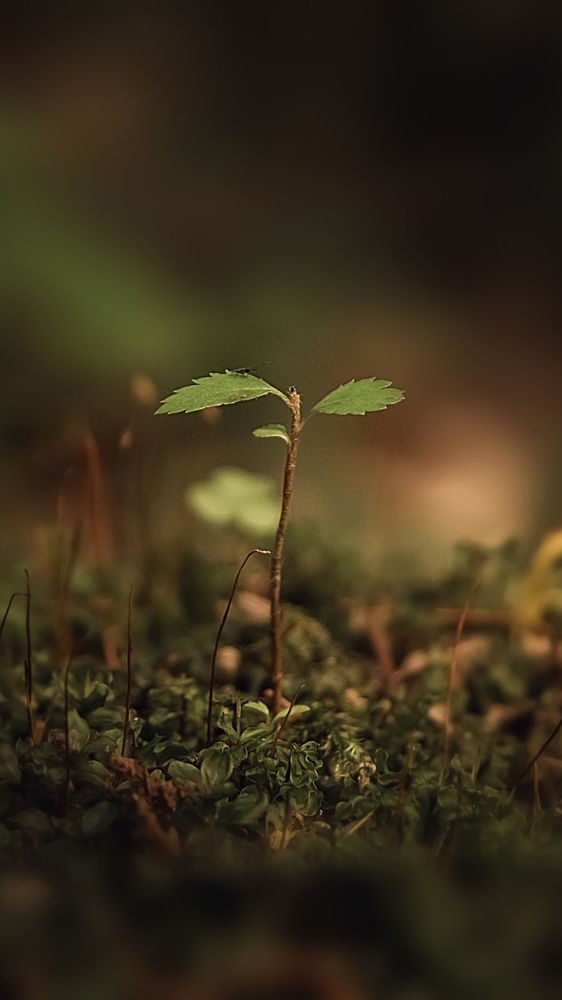 Photograph by Валерия Дорогова